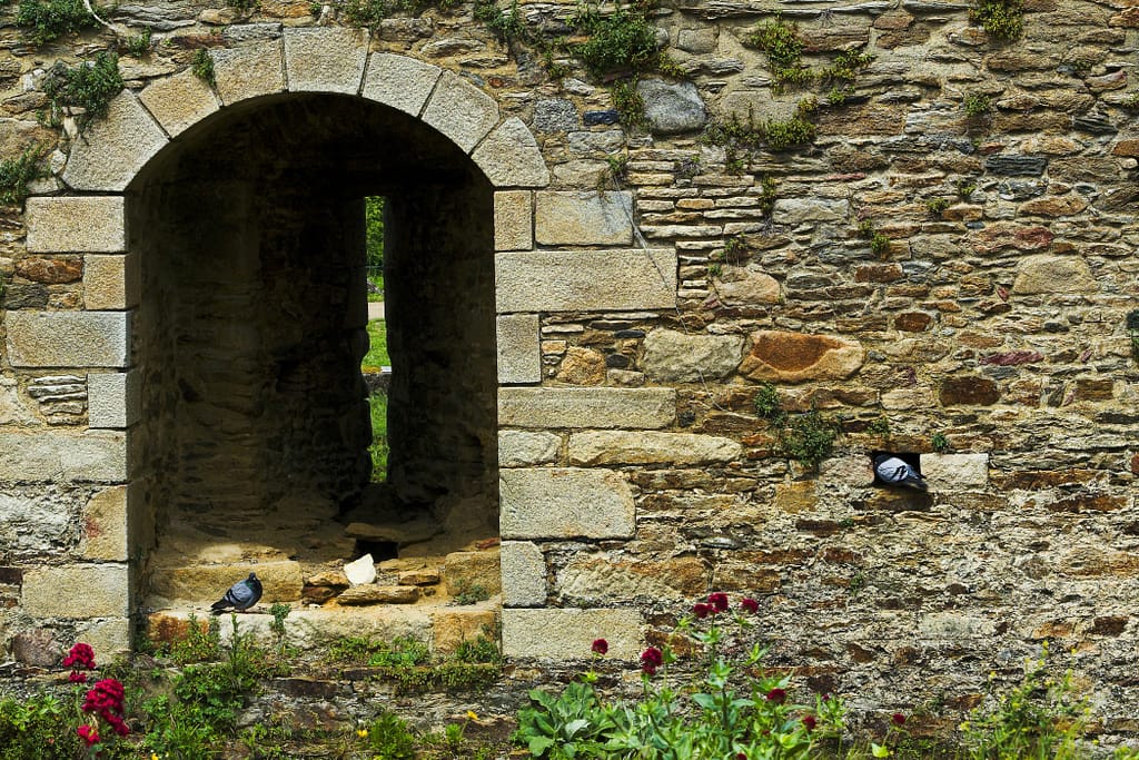 defense mechanisms - image of a stone protective wall