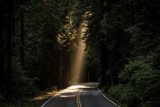 Chronic Pain Flare - image of sun shining through the trees onto a highway